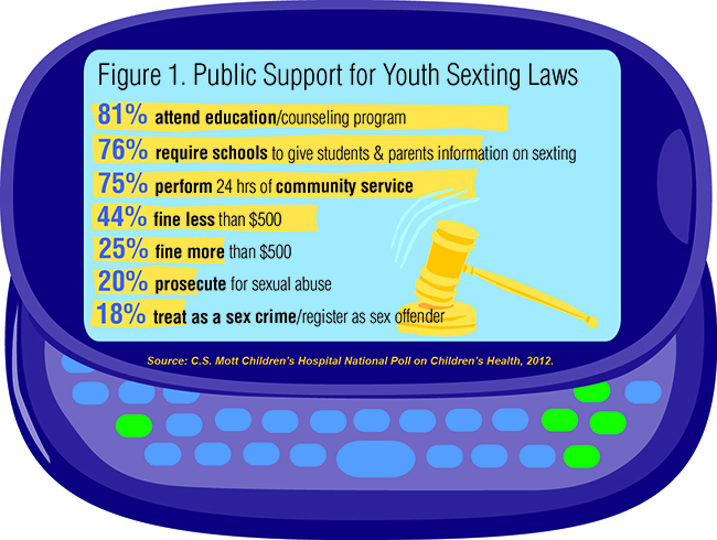 Figure 1. Public Support for Youth Sexting Laws