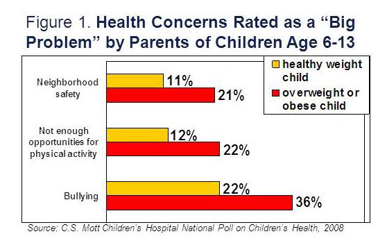 Health concerns rated as a "big problem" by parents of children age 6-13
